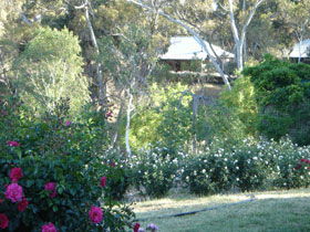 Battunga Bed & Breakfast - New Castle Holiday 0