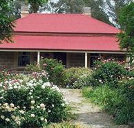 Rosebrae Cottage - New Castle Holiday