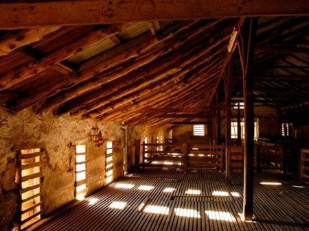 Bungaree Station - New Castle Holiday 3