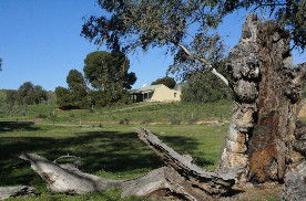 Saunders Gorge Sanctuary - Boundary Cottage - New Castle Holiday 1