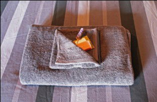 Moolooloo Station - New Castle Holiday 2