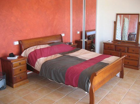 Tiliqua Sunrise - New Castle Holiday 2