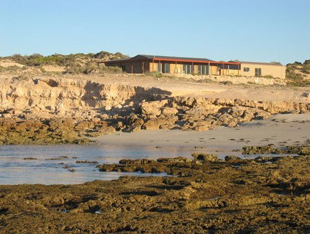 Tiliqua Sunrise - New Castle Holiday 3