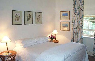 Rosebrae Cottage - New Castle Holiday 3