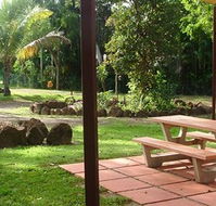 Virginia Heliconia Farm - New Castle Holiday
