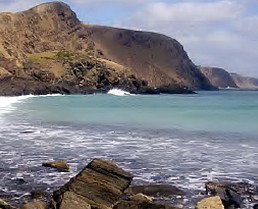 Periwinkles At Second Valley - New Castle Holiday 1