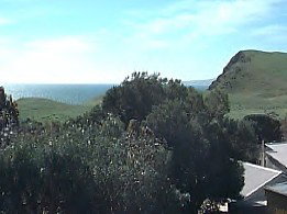 Periwinkles At Second Valley - New Castle Holiday 2