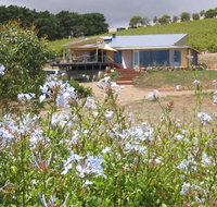 The Blue Grape Vineyard Accommodation - New Castle Holiday