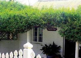 Peppertree Cottage Bed And Breakfast - Normanville - New Castle Holiday 1