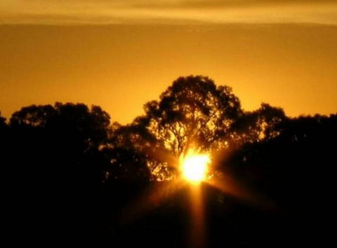 Linfield Cottage - New Castle Holiday 1