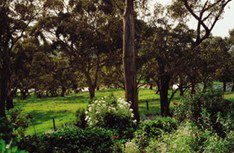 Mount Charmal Bed And Breakfast - New Castle Holiday 1