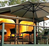 Jabiru Safari Lodge at Mareeba Wetlands - New Castle Holiday