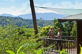 Rose Gums Wilderness Retreat - New Castle Holiday 0