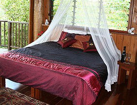 Rose Gums Wilderness Retreat - New Castle Holiday 2