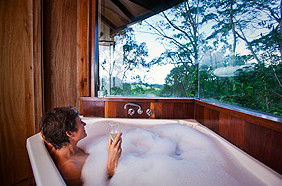 Rose Gums Wilderness Retreat - New Castle Holiday 3
