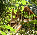 Rivers Edge Rainforest Retreat - New Castle Holiday