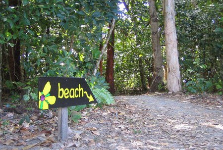 Cape Tribulation Camping - New Castle Holiday 2