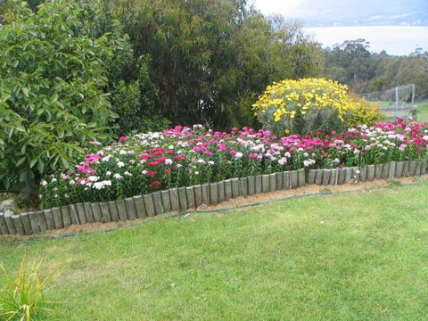 The Eagles View - New Castle Holiday 2