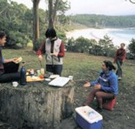 Fortescue Bay Camping Ground - New Castle Holiday