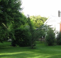 Oakdene Heritage Accommodation - New Castle Holiday