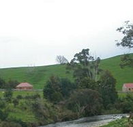 Tin Dragon Trail Cottages - New Castle Holiday
