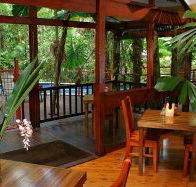 Daintree Wilderness Lodge - New Castle Holiday