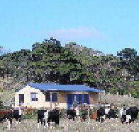 Marrawah Beach House - New Castle Holiday