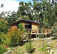 Southern Forest Accommodation - New Castle Holiday