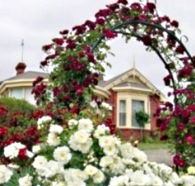 Golden Embers Apartments and B and B - New Castle Holiday