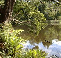 Weldborough Camping Ground - New Castle Holiday