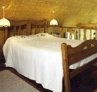 Forget-Me-Not Cottage - New Castle Holiday