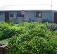 Engadine Cottage - New Castle Holiday