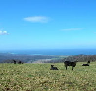 St Marys Seaview Farm - New Castle Holiday