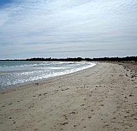 Greens Beach Caravan Park - New Castle Holiday