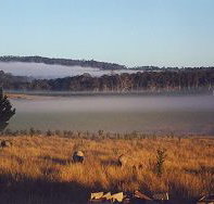 Fonthill - New Castle Holiday