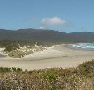 Cloudy Bay Cabin - New Castle Holiday