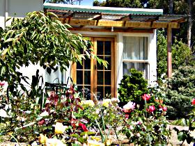 Thelma Retreat - New Castle Holiday 0