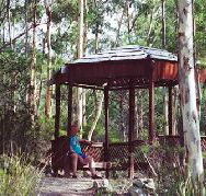 Telopea - New Castle Holiday