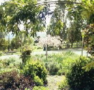 Cherry Park Estate - New Castle Holiday