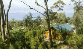 Partridge Farm - New Castle Holiday 0