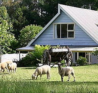 Hide-Away Cottage Retreat - New Castle Holiday