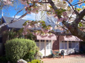 Kurrajong House - New Castle Holiday 0