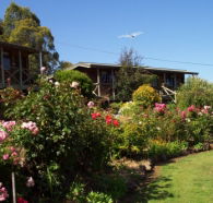 Mole Creek Holiday Village - New Castle Holiday