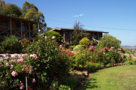 Mole Creek Holiday Village - New Castle Holiday 0
