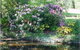 North East Restawhile Bed & Breakfast - thumb 1
