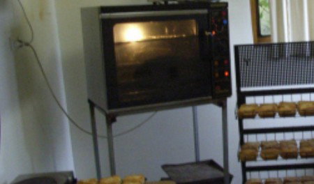 Springfield Deer Farm - New Castle Holiday 1