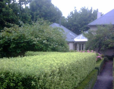 Old Wesleydale Heritage Accommodation - New Castle Holiday 3