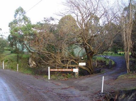 Eaglehawk Neck Backpackers - New Castle Holiday 1