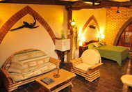 Cedar Park Rainforest Resort - New Castle Holiday 0