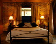 Cedar Park Rainforest Resort - New Castle Holiday 3